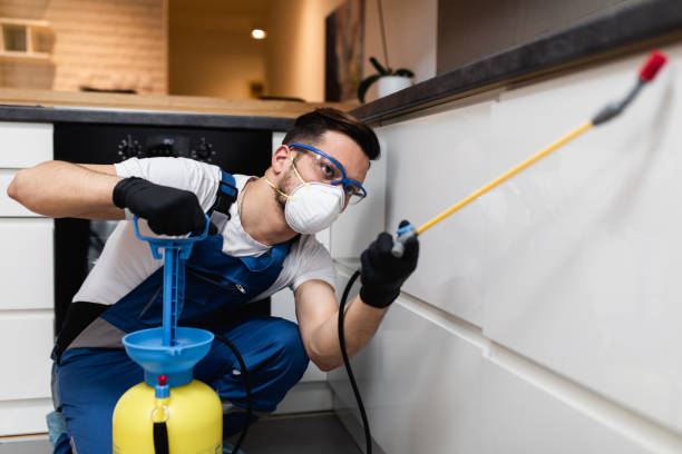Best Pest Prevention Services  in Loris, SC
