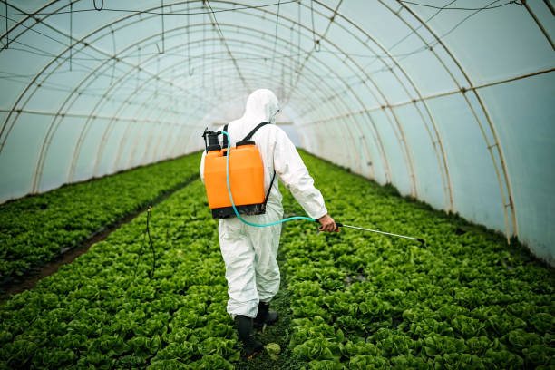 Best Residential Pest Control  in Loris, SC