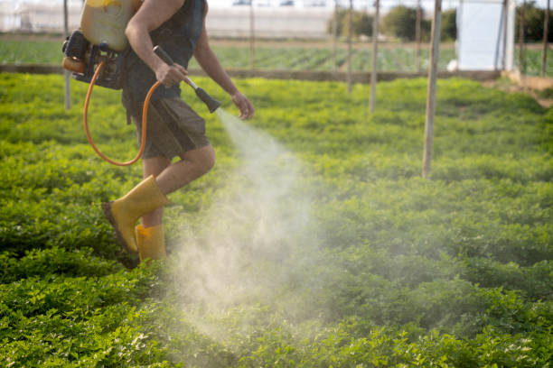 Best Pest Control for Businesses  in Loris, SC