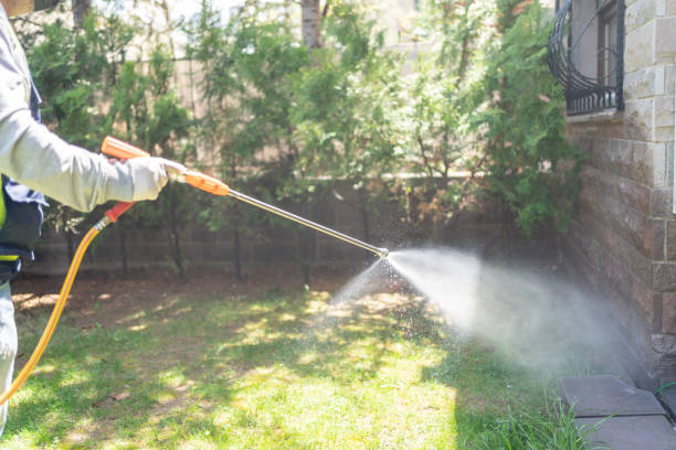 Best Flea Control Services  in Loris, SC